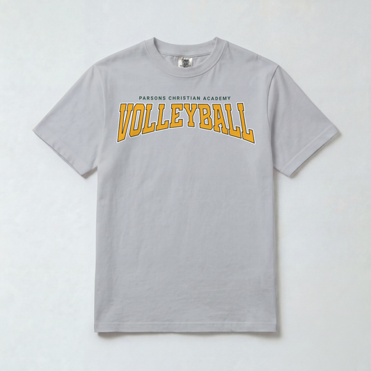 PCA Volleyball